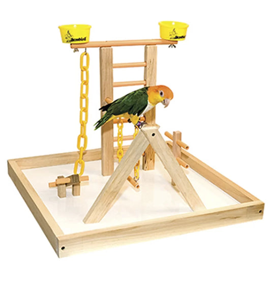 22'' Wood Bird Play Gym for Table Top